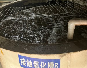 氧化处理